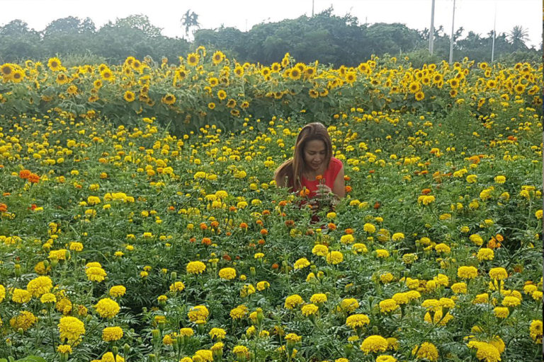 សង្កត់ចិត្តស្រាល កុំចុះចាញ់បើពិតជាចង់ស្រណុកមែន