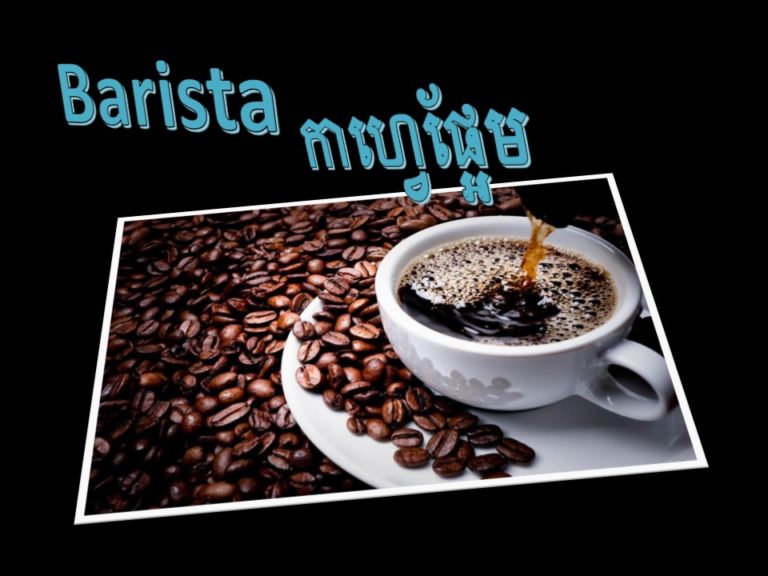 ប្រលោមលោក Barista កាហ្វេផ្អែម