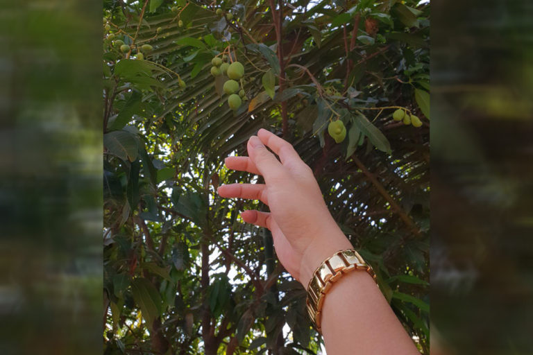 សេចក្តីស្រលាញ់ និងគោរព