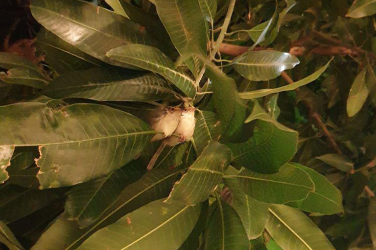ព្រះនាងនិងព្រះអង្គម្ចាស់