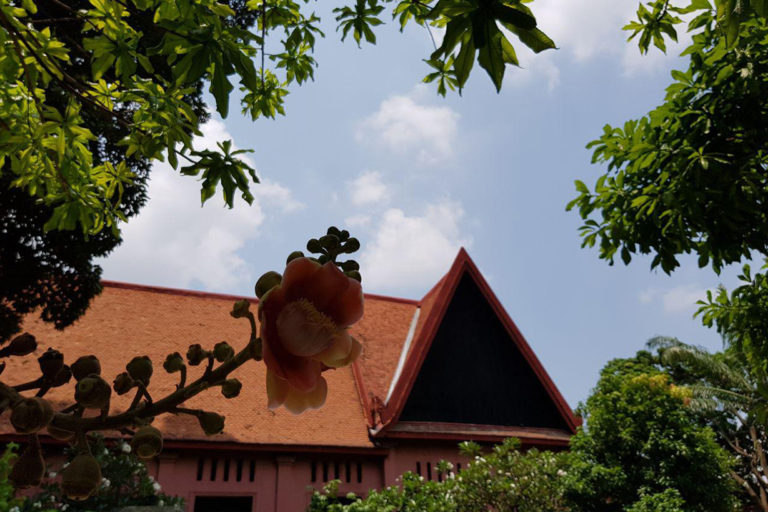 ខ្លួនឯងត្រូវធ្វើជាគ្រូរបស់ខ្លួនឯង